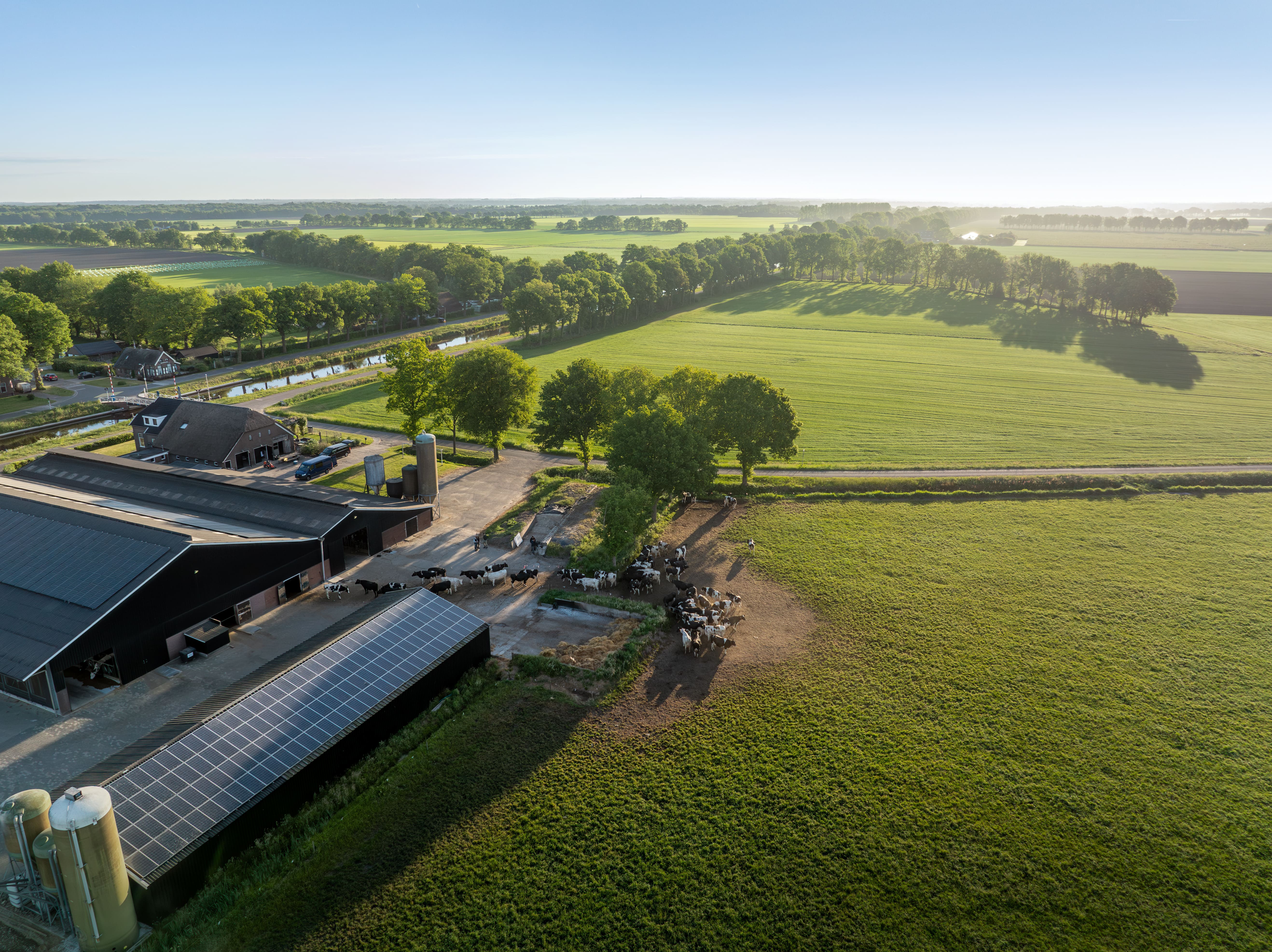 LifeForce_FrisoMasterbrand_DBP Image_Friso_Drone_4_Global.jpeg